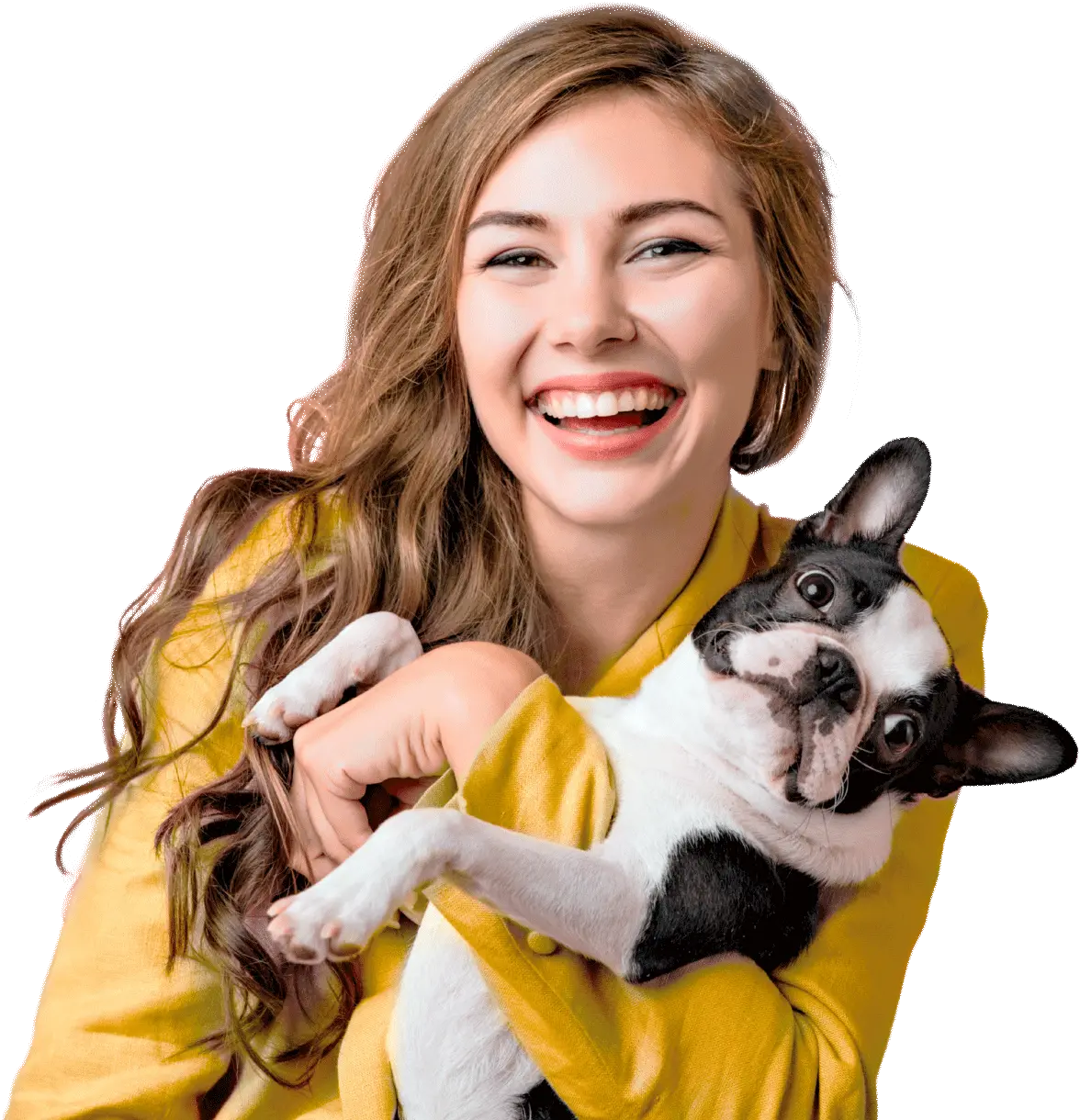 Clínica Veterinária & Cia (Companhia dos Bichos)