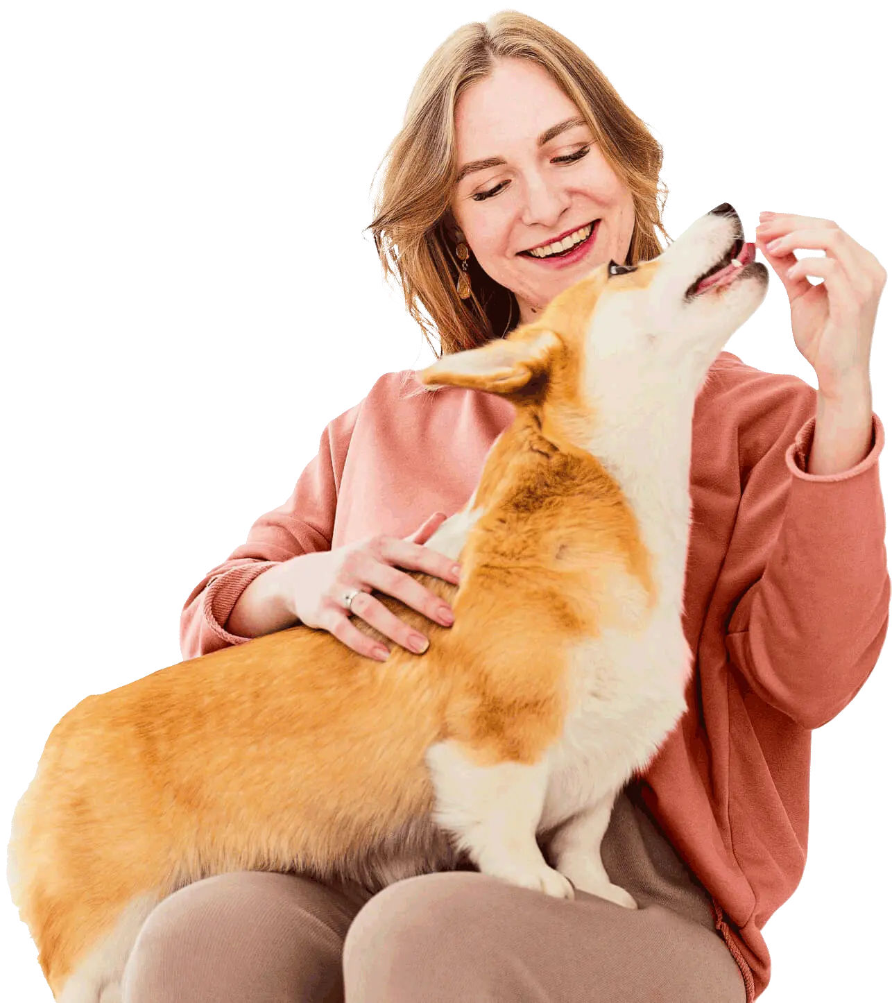 Clínica Veterinária & Cia (Companhia dos Bichos)